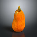 Fresh Orange Pumpkin as Healthy Food Ingredient for Home Cooking Recipes