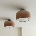 Two Brown Round Ceiling Lights With Glass Shades On White Ceiling 3d model