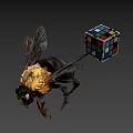 Bumblebee With Yellow Thorax And Colorful Rubik's Cube