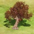Shrub With Orange Leaves And Thick Trunk On Green Grass Field