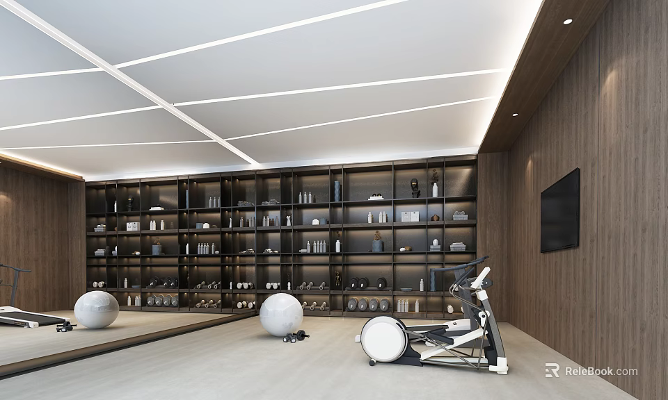 Modern Home Gym Space With Elliptical Machine Exercise Balls Mirrors Wooden Walls And TV 3d model 