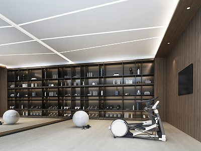 Modern Home Gym Space With Elliptical Machine Exercise Balls Mirrors Wooden Walls And TV 3d model