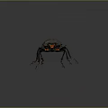 Modern dung beetles 3d model