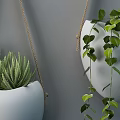 Set Of White Hanging Planters Holding Different Green Plants As Wall Decor