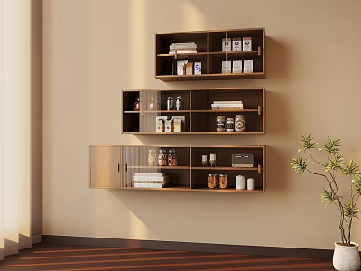 Indoor Wall Mounted Wooden Storage Shelves With Jars Books And Decorative Plants 3d model
