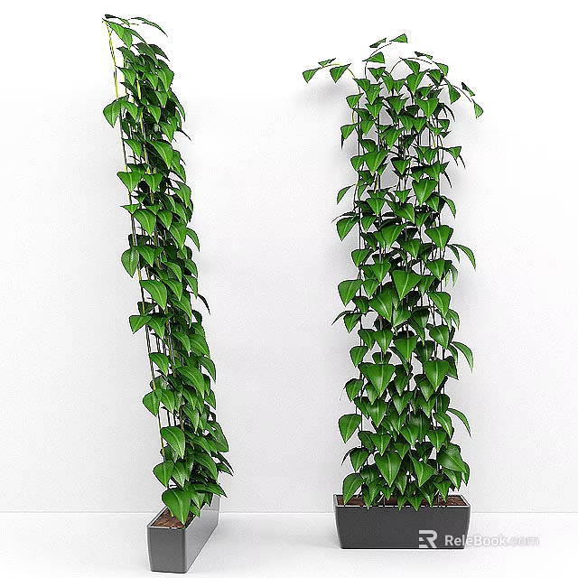 Lush Green Climbing Bonsai Potted Plant With Dense Foliage For Indoor Decor 3d model 