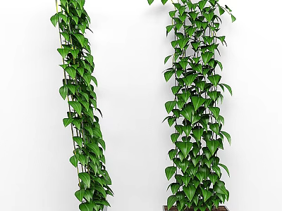 Lush Green Climbing Bonsai Potted Plant With Dense Foliage For Indoor Decor 3d model