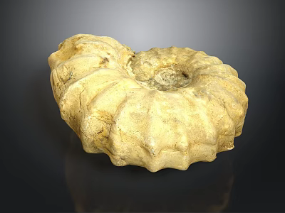 Natural Stone Sculptural Carving of Spiral Ammonite Fossil with Intricate Textures 3d model