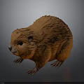Orange Beaver with Fluffy Fur in Standing Pose on Gray Background Detailed Model