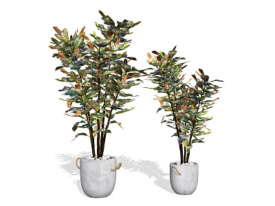 Modern potted plant potted plant decorative bonsai ornaments model