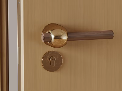 Elegant Brushed Brass Door Handle On Wooden Door With Keyhole Detail 3d model