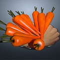 carrot carrot ganxunsai ginseng vegetables 3d model