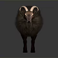 Realistic Fluffy Goat With Curved Horns And Brown Fur Standing On Dark Background