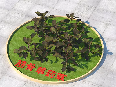 Natural Dark Green Medicinal Herbs Growing On Round Green Mat Surface 3d model