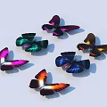 Colorful Butterflies with Iridescent Wings Displaying Various Hues on Light Background