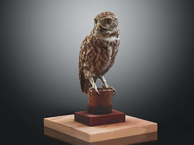 A Small Brown Feathered Owl Perched On A Natural Wooden Base With Layered Wooden Platform 3d model