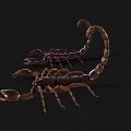 Two Detailed Realistic Scorpion Models In Brown And Golden Tones On Black Background