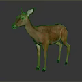 Realistic Brown Deer 3D Model With Smooth Fur Standing On Gray Background
