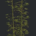 Three Green Bamboo Plants with Slender Stems and Fresh Green Leaves Against Gradient Gray Background