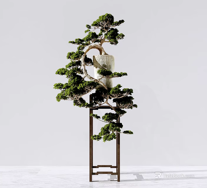 Elegant Bonsai Pine Tree in White Ceramic Pot on Black Metal Stand 3d model
