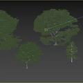 New Chinese Style Big Tree Model Tree 3d model