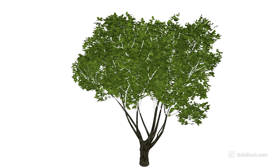 Lush Green Arbor With Dense Foliage Strong Trunk And Branches 3d model 