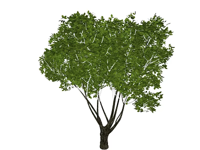 Lush Green Arbor With Dense Foliage Strong Trunk And Branches 3d model