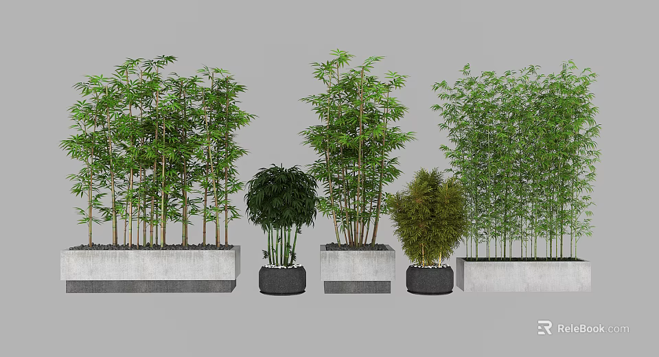 Bonsai Potted Plants With Bamboo And Spherical Varieties In Concrete Rectangular And Black Round Planters 3d model 