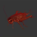 Detailed 3D Rendering of a Cricket with Antennae Legs and Exoskeleton Features