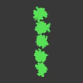 Lush Green Shrub With Dense Branches And Vibrant Foliage For Garden Landscaping