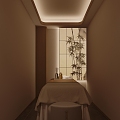 Modern new Chinese beauty salon-Ji beauty salon beauty spa therapy room massage room 3d model