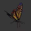 Vibrant Colorful Butterfly Artwork With Geometric Patterns And Bright Hues