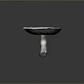 Large White Mushroom With Umbrella Shaped Cap And Textured Stem On Gray Background
