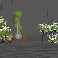 Various Bonsai and Potted Plants with Colorful Flowers and Green Leaves on Outdoor Wooden Deck