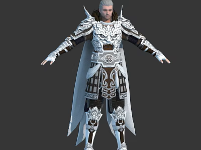 White Haired Fantasy Character In Elaborate Silver Black Armor With Intricate Patterns And Cloak 3d model