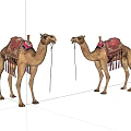 Two Camels With Traditional Decorated Saddles Standing Side By Side On White Background