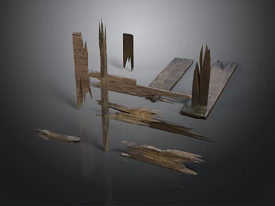 Worn Old Wooden Planks And Fragmented Wood Pieces On Dark Surface 3d model
