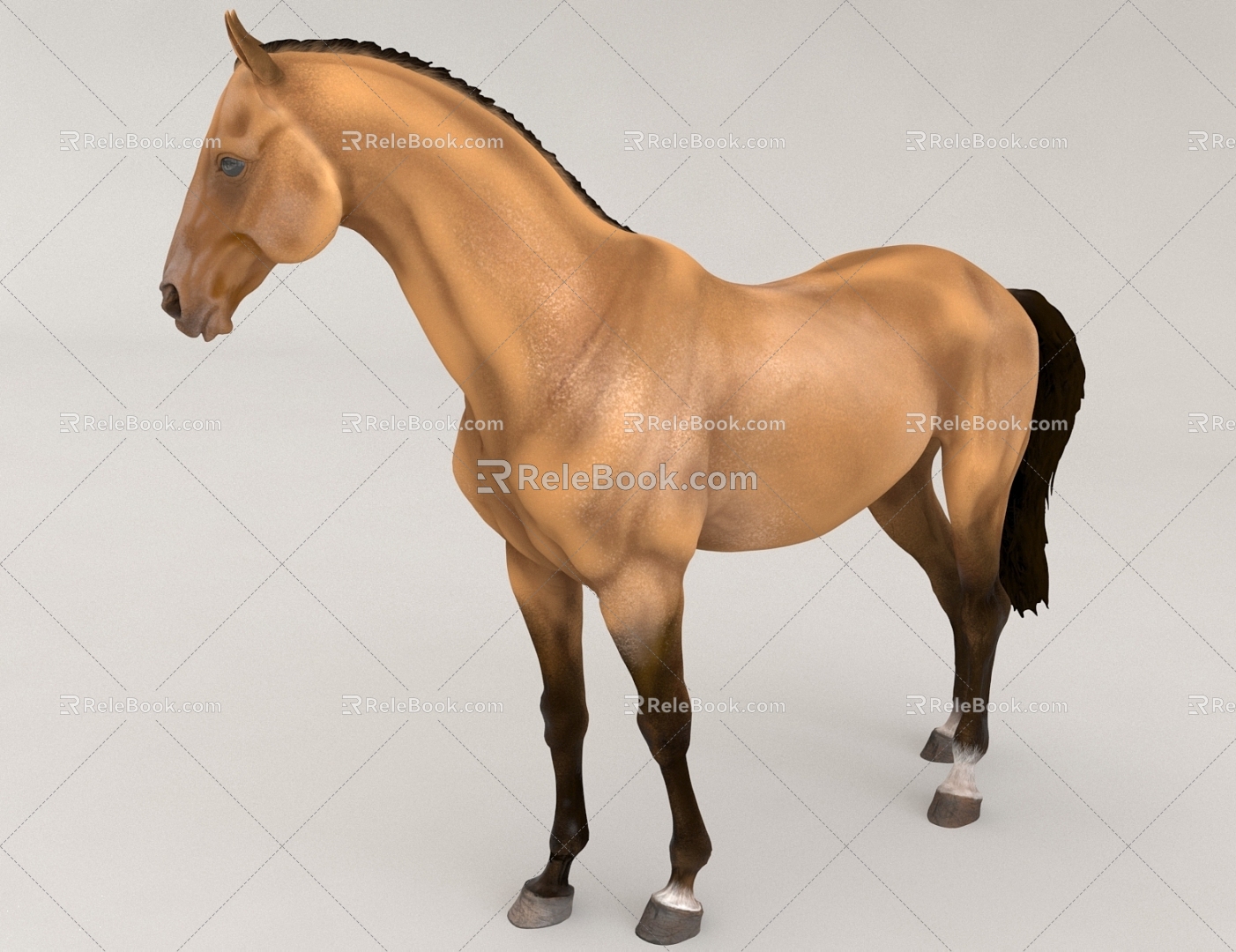 Horse BMW Beast Animal 3d model