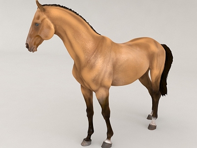 Horse BMW Beast Animal 3d model