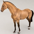 Horse BMW Beast Animal 3d model