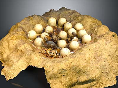 Natural Mud Built Nest With White Eggs And Small Creatures Inside 3d model