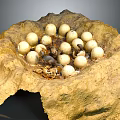 Natural Mud Built Nest With White Eggs And Small Creatures Inside