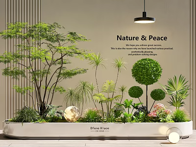 Indoor Landscape With Green Plants Rounded Shrubs Decorative Sphere And Soft Lighting For Nature Peace 3d model