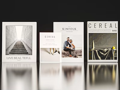 Modern Decorative Magazine Display Set Arranged on Tabletop for Home Decoration 3d model