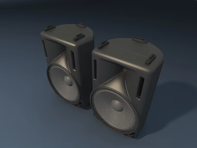 Portable Professional Black Speakers with Large Drivers and Sturdy Handle Design 3d model