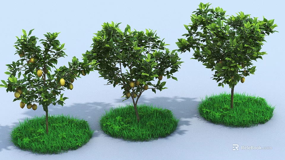 Three Healthy Garden Shrubs With Ripe Lemons And Green Grass 3d model 