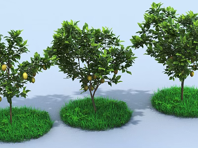 Three Healthy Garden Shrubs With Ripe Lemons And Green Grass 3d model