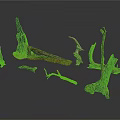 Natural Dried Plant Branches and Tree Trunks with Various Shapes for Decorative Crafts