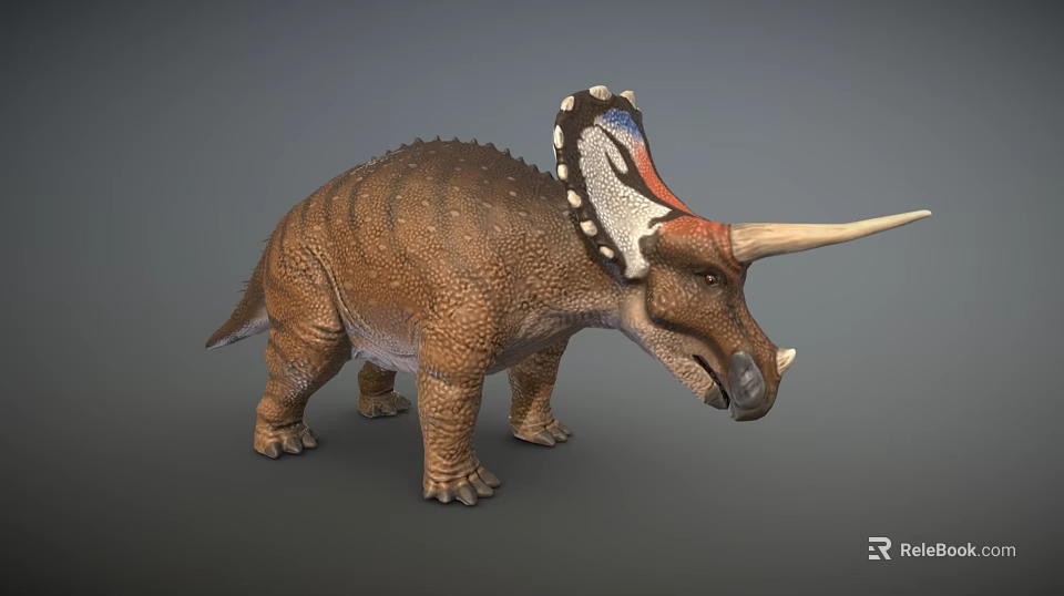Realistic 3D Triceratops Dinosaur Model with Colorful Frill Brown Scaly Body and Long Horns 3d model 