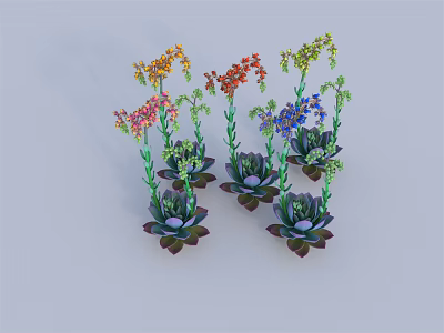 Colorful Succulent Plants with Green Stems Leaves and Various Colored Flowers in Multiple Pots 3d model
